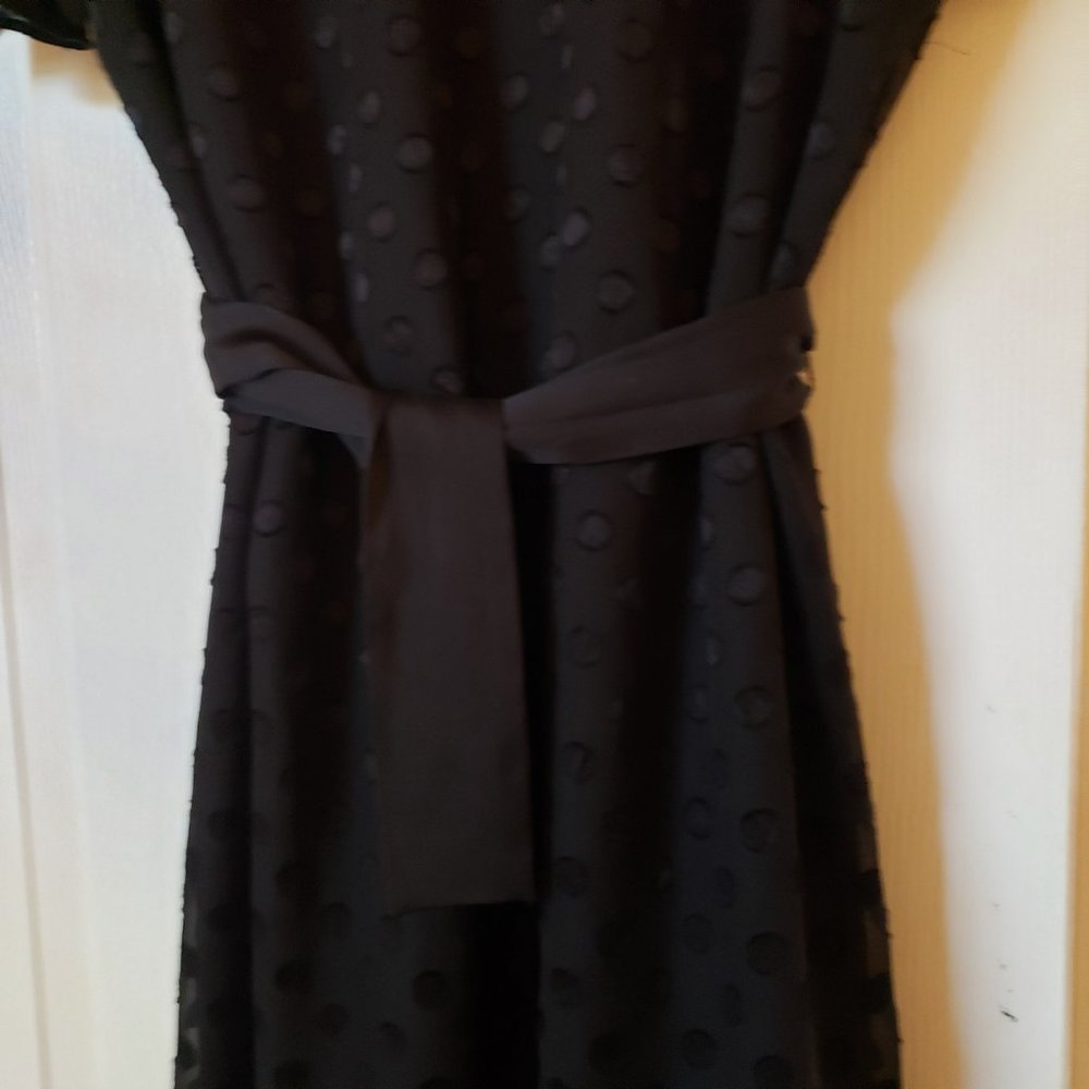 ANN TAYLOR DRESS